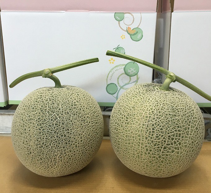 【数量限定】【平成30年7月中旬~7月下旬頃お届けします】