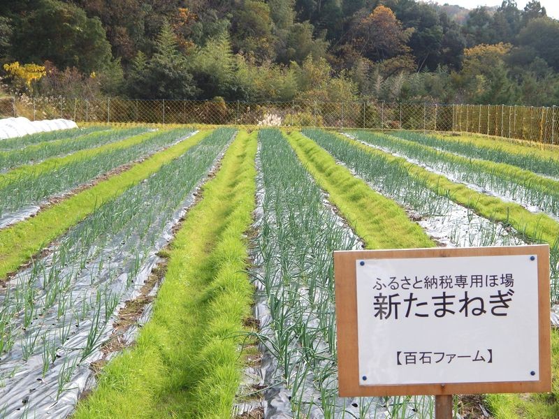 過去の生育状況