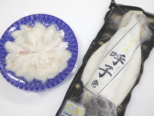 地場 呼子の松イカ姿造り 鯛の薄造りセット A0505 A02 佐賀県 ふるさと納税 ふるさとチョイス