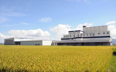 米の乾燥調製貯蔵施設
