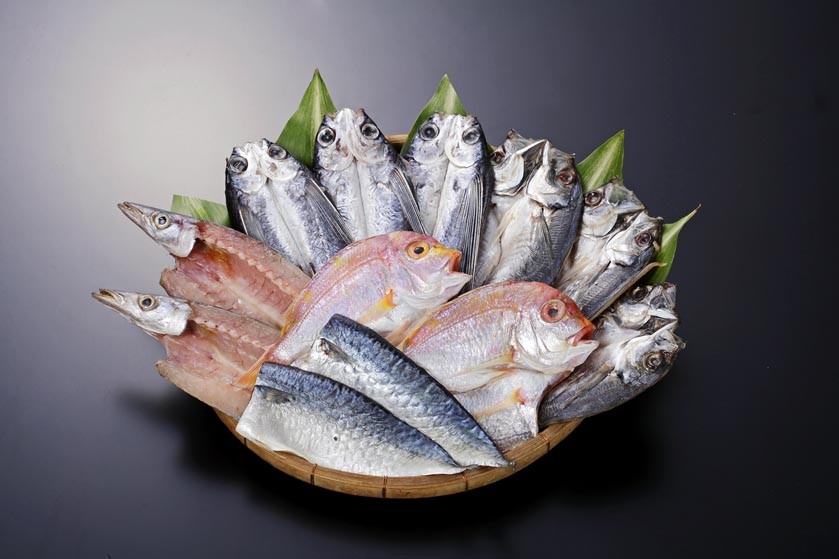 あご(トビウオ)、真あじ、かます、れんこ鯛、真さばが入ったセット