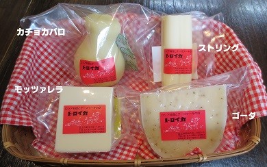 チーズ(おまかせ1個 ※種類は選べません。)