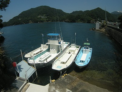 写真