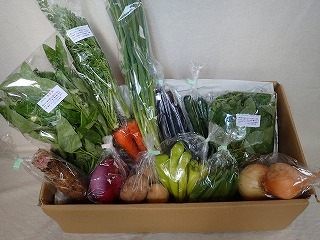 9月の有機野菜セットの例