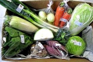 11月の有機野菜セットの例