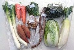 1月の有機野菜セットの例