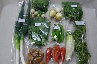 10月の有機野菜セットの例