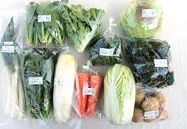 3月の有機野菜セットの例
