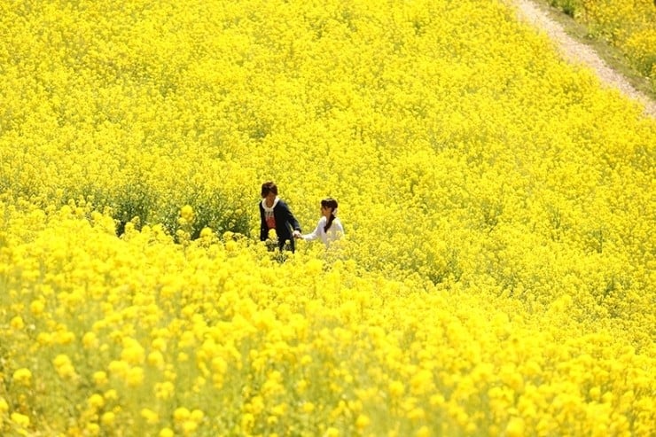 写真