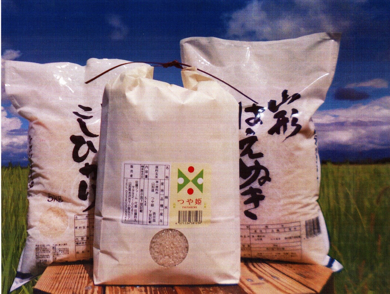 写真
