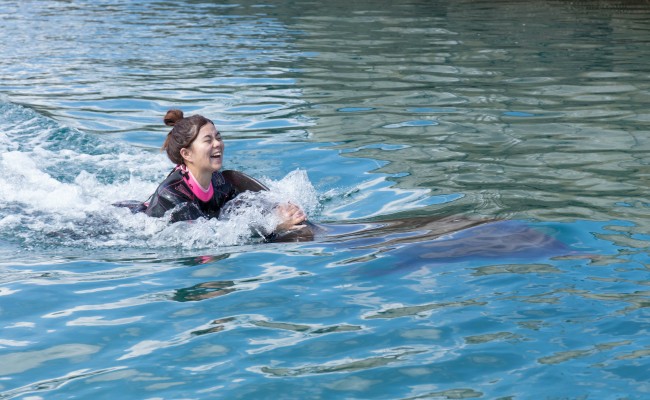 イルカと一緒に泳ぐ夢のような体験ができますよ(^^)結構なスピードが