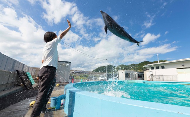 青空に向かって高く飛んでくれます(^^)/感動間違いなし!!