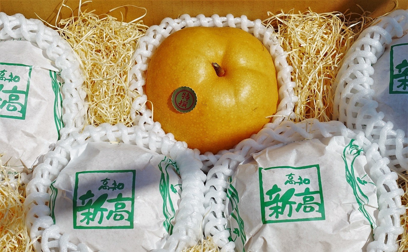 高品質のものだけを選びます