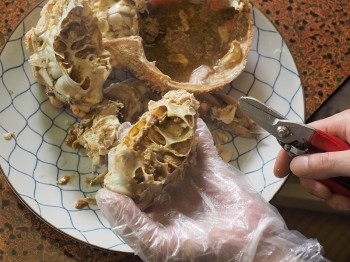 写真