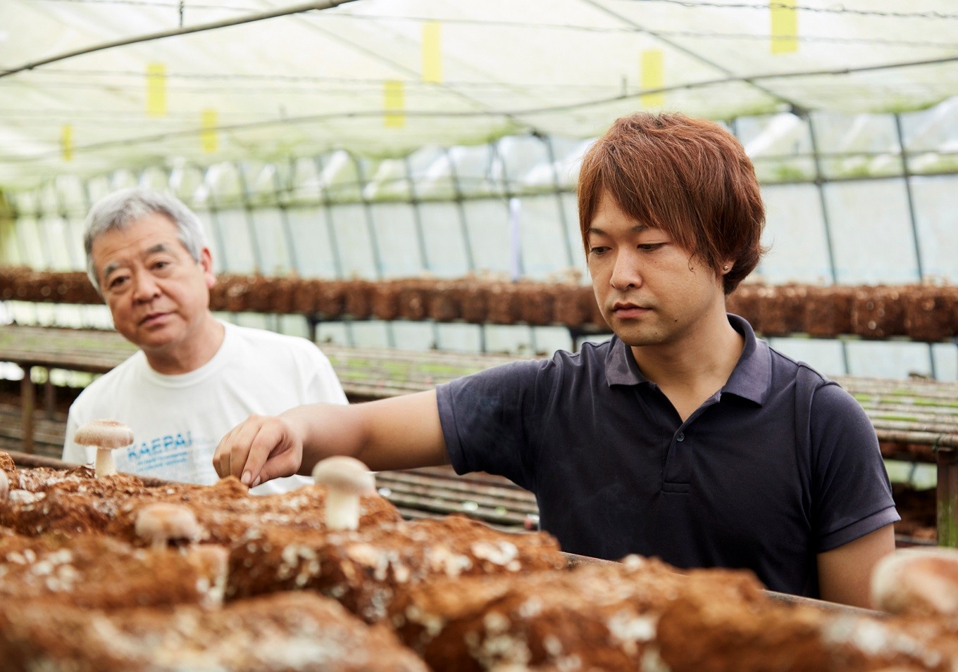 椎茸栽培の伝統は、父から子へ