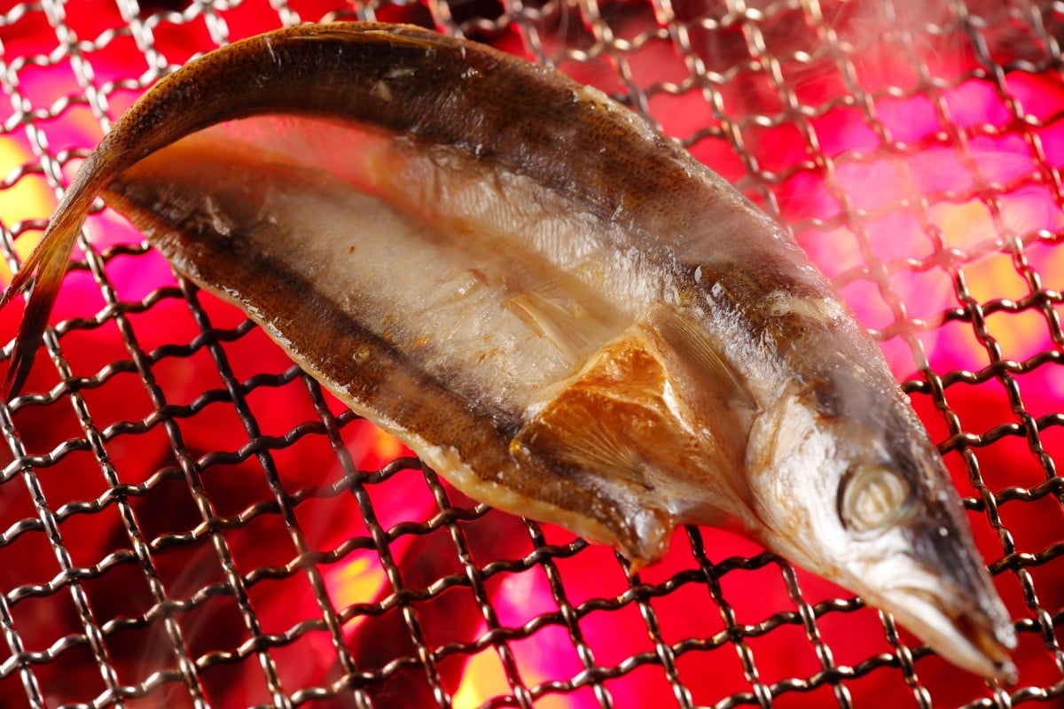刺網等で多く漁獲されるカマス。脂ものって、とっても美味しいですよ!!