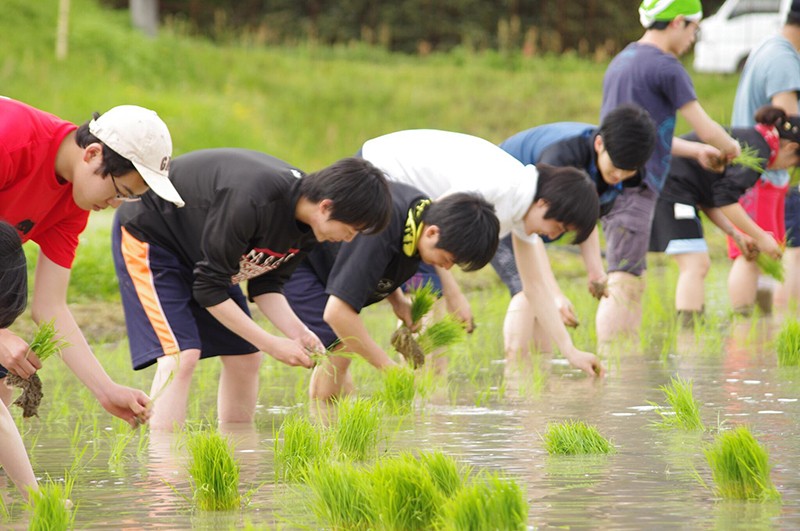写真