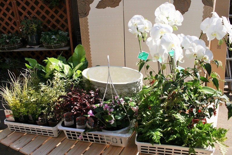 10~15種、50~70ポットの花を使用して作ります。