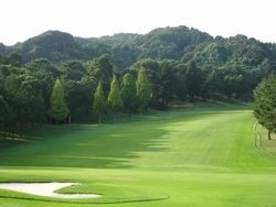 8番ホール:距離のある難しいミドルホール。