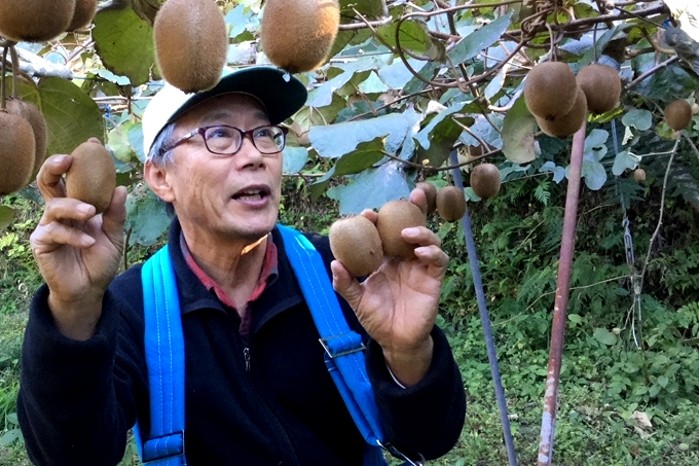 キウイフルーツカントリーJAPAN 園長の平野さんです!