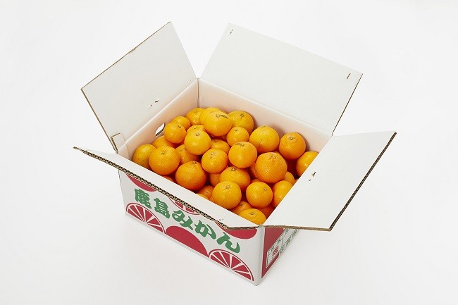 佐賀県鹿島産 温州みかん 約11kg みかん ミカン 蜜柑 柑橘 果物 