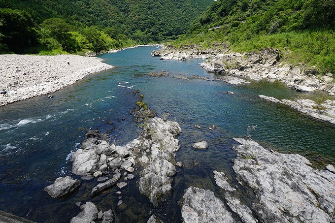 清流四万十川で育った天然うなぎの味を目指して育てました。
