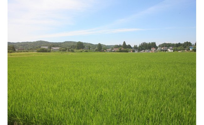 澄んだ空気!大自然に恵まれた環境で生産されています。