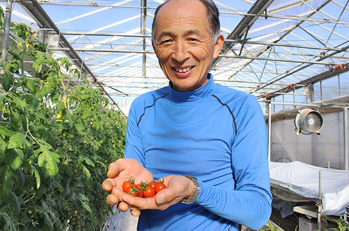 安心安全で栄養満点のトマト&プチトマト、ぜひ毎日食べてください♪