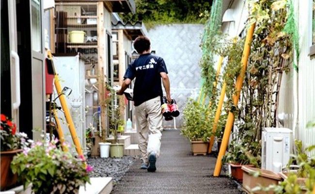 写真