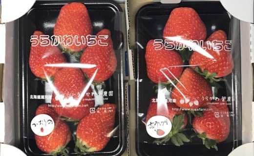 1箱2パック入り×2箱で発送※写真左「かおり野」写真右「恋みのり」