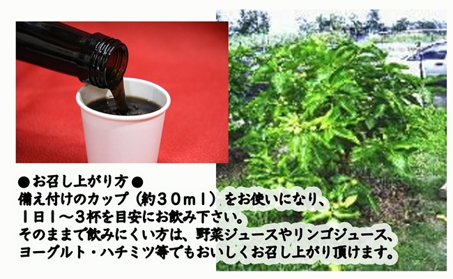 ノニジュースのお召し上がり方