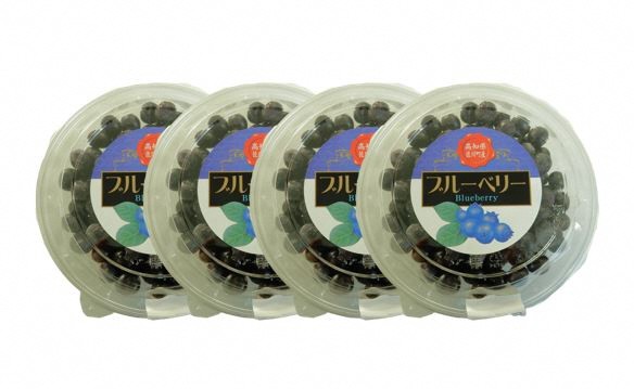 どっさり1.4kg!!