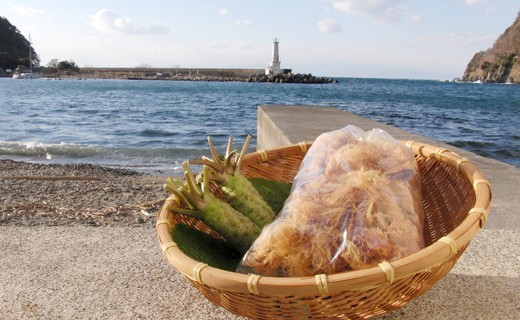 西伊豆町の海と山の特産品をセットでお届けします!