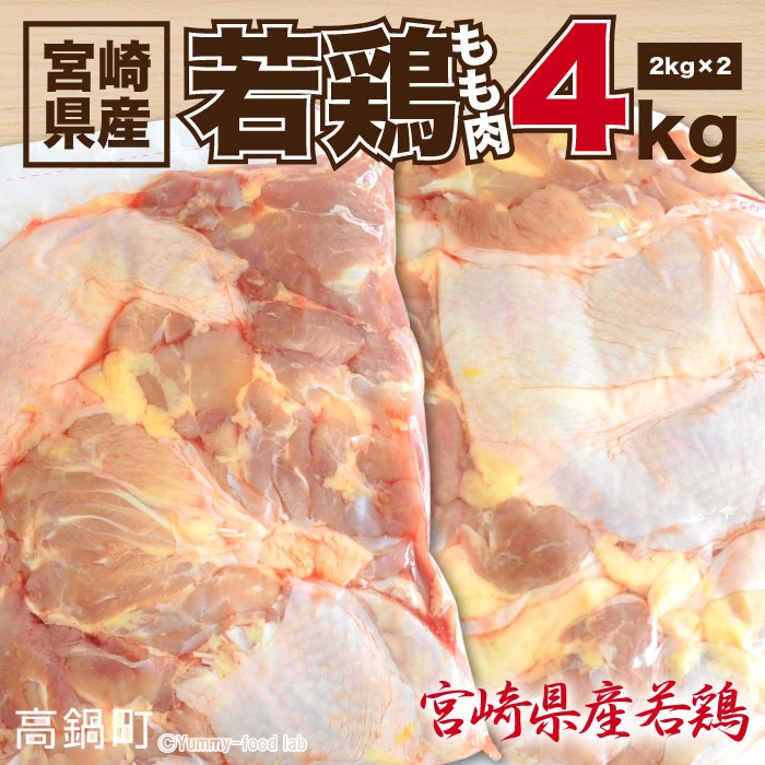 ふるさと納税 ＜宮崎県産若鶏もも肉4kg＞翌月末迄に順次出荷 宮崎県高鍋町 通販