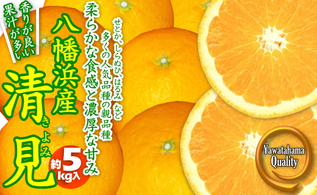 C28-21.あふれる果汁と濃厚な甘み！「清見」５kg入 - 八幡浜市八幡浜市 | ふるさと納税 [ふるさとチョイス]