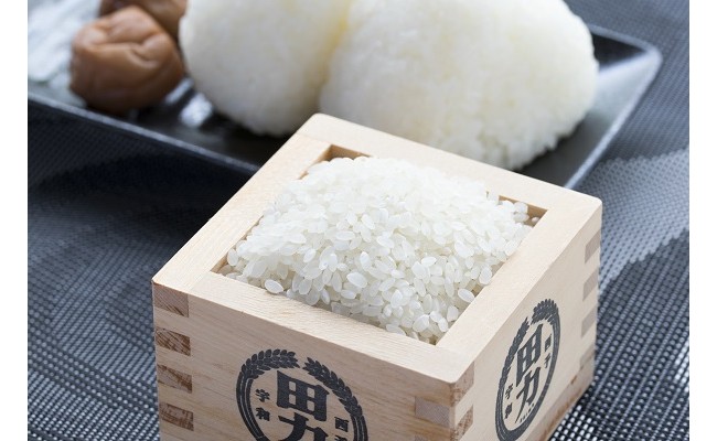 超特価通販めばるん12様専用 お米　令和2年　愛媛県産松山三井　玄米　30㎏ 米/穀物