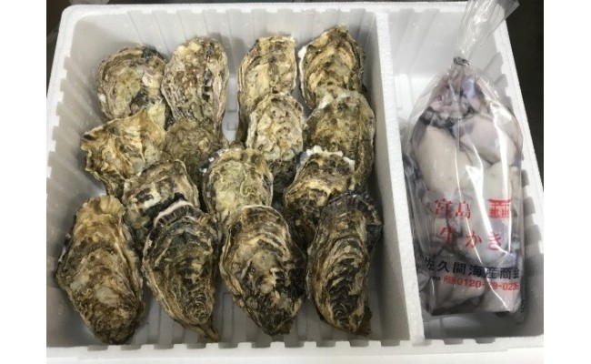 加熱用 宮島が育んだ生かき セット むき身600g 殻付き10個 冷蔵 広島県廿日市市 ふるさと納税 ふるさとチョイス
