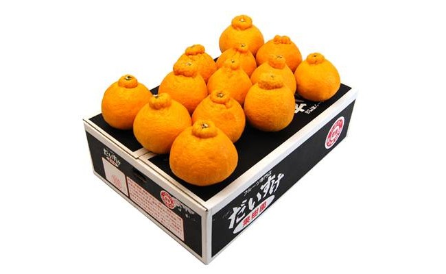D35-20.柑橘の王様にふさわしい存在感！爽やかな味！愛媛県産 デコすけ