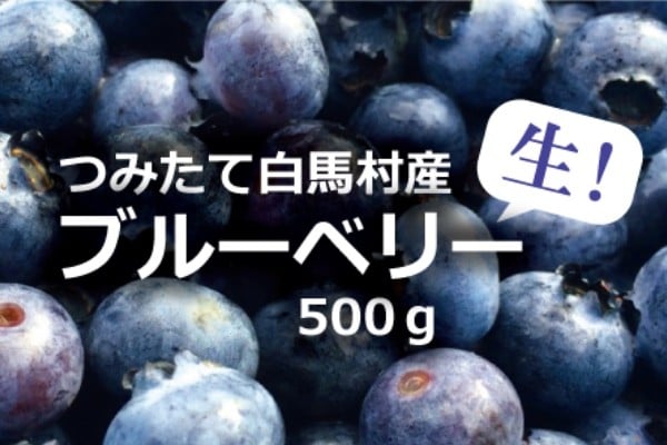 白馬産冷凍ブルーベリー(加工用) 1kg【B0012-04】 - 長野県白馬村