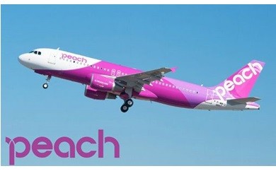 D011 ふるさとへ帰ろう!Peachセット③_15,000pt