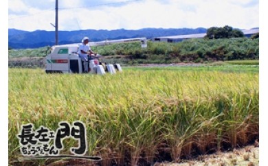 B038 射手矢さんちの「お米(ヒノヒカリ)」11キロ
