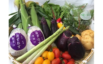 A042 泉州TONOファームの季節の野菜と自家製お漬物セット(小)