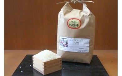 y򕌌}z[1220]򕌌YncV(3LO)