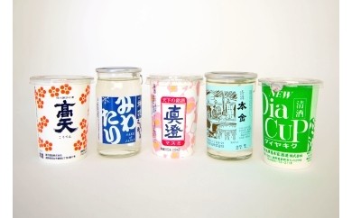 10 01 諏訪郡ワンカップ飲み比べセット 信濃屋 長野県諏訪市 ふるさと納税 ふるさとチョイス