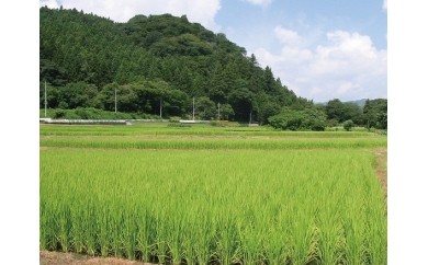 【15B015】 倉渕稲作研究会米 １５ｋｇ - 群馬県高崎市｜ふるさとチョイス - ふるさと納税サイト