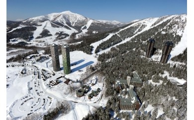 北海道占冠村返礼品スキー場シーズン券