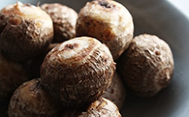 yɌsz 2025NY  ł ϕ  _ ؗ Ƃ ₳ TgC