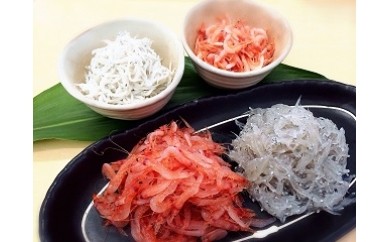 大きい写真