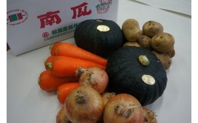 【A010-5】柳瀬産商 秋野菜セット10kg