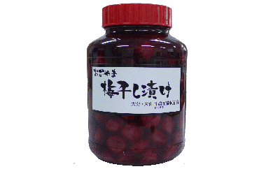B-08豊後大山南高梅2.5kg